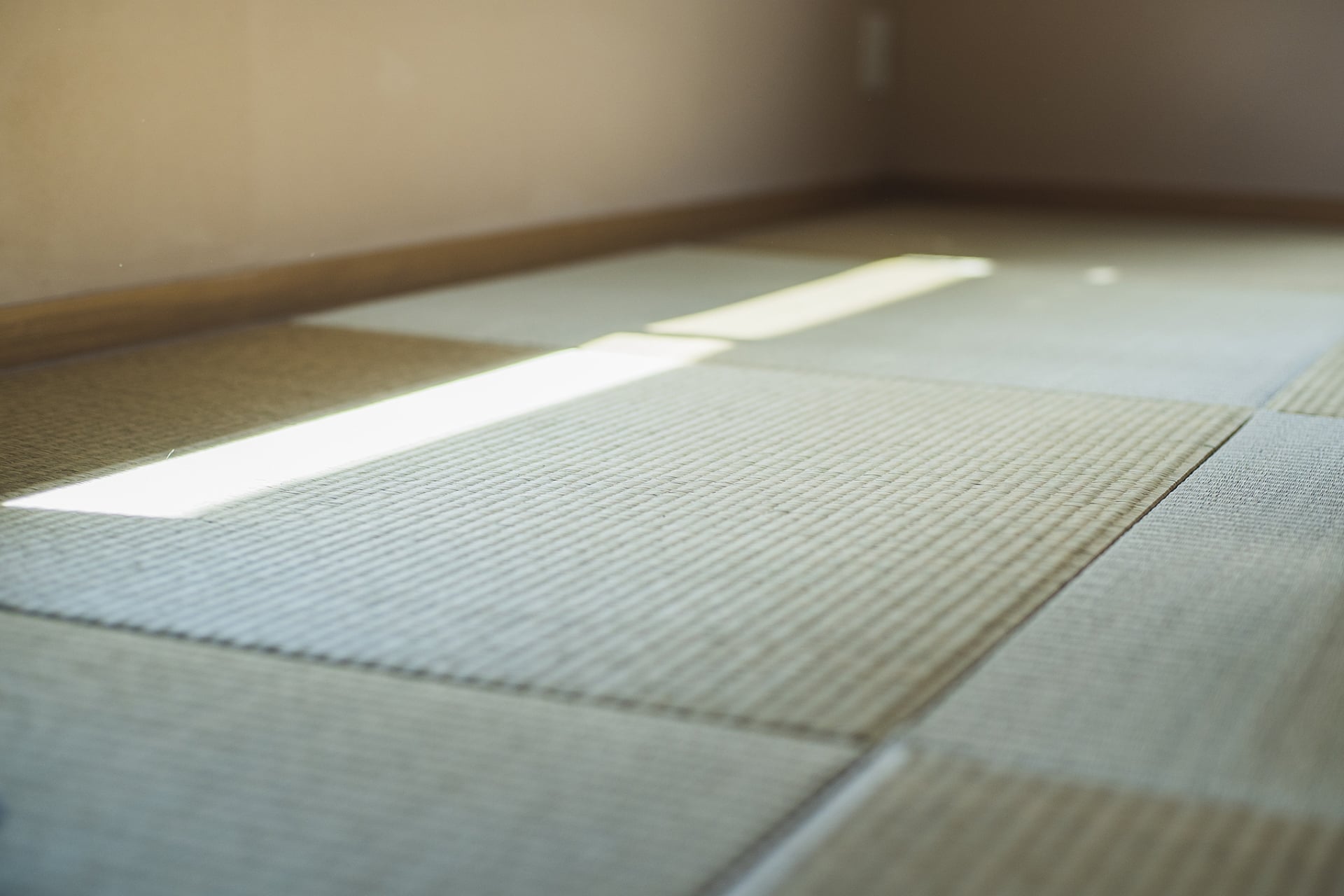 和室の畳のアップ写真